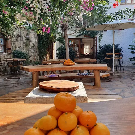 Monza House 酒店 Siğacık